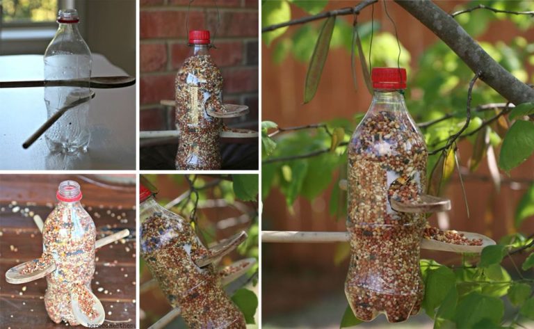 Самодельная кормушка для птиц из пластиковой бутылки.